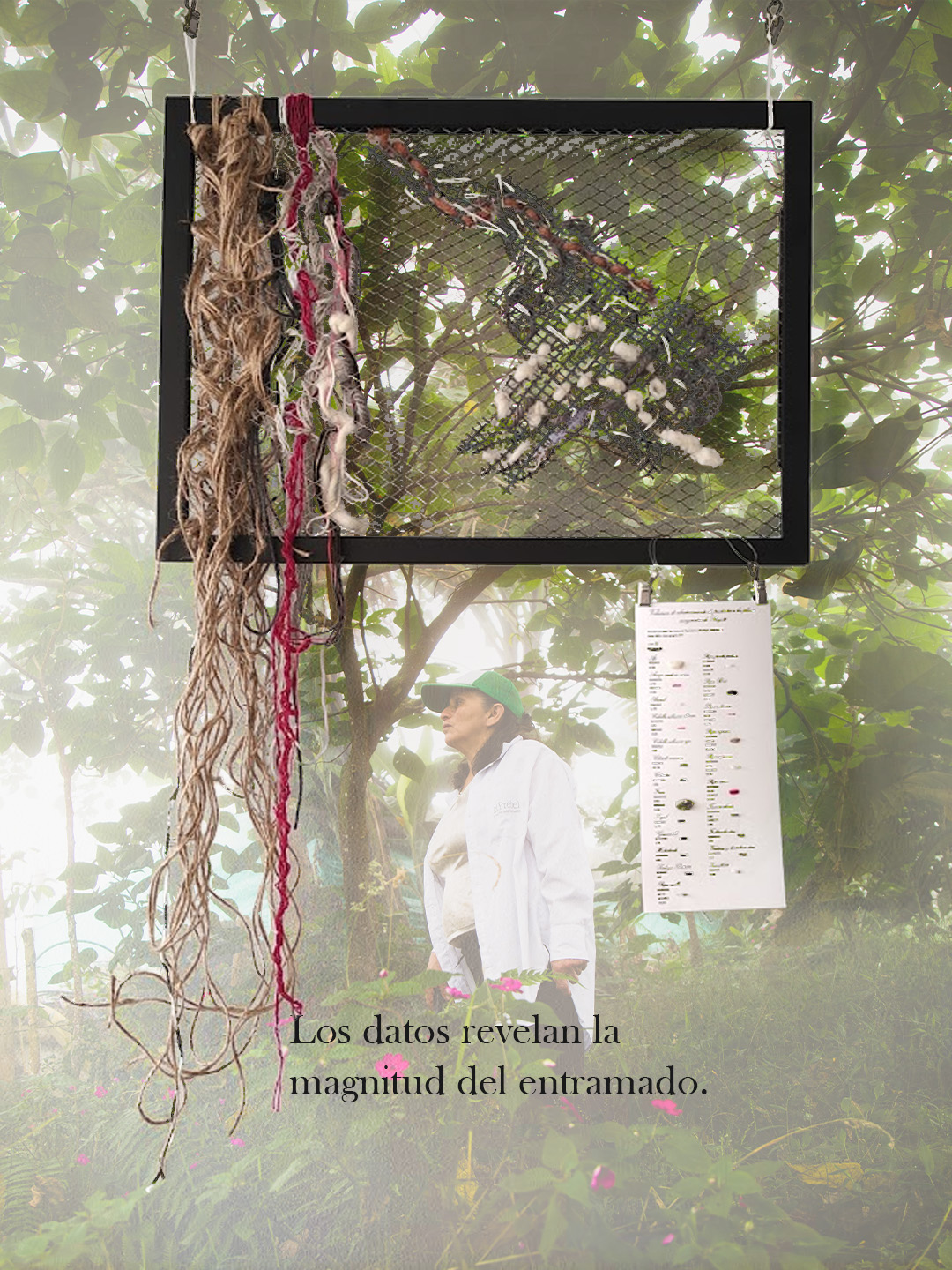 Pieza gráfica con uno de los cuadros de Tramas de cuidado superpuesto sobre vegetación.
