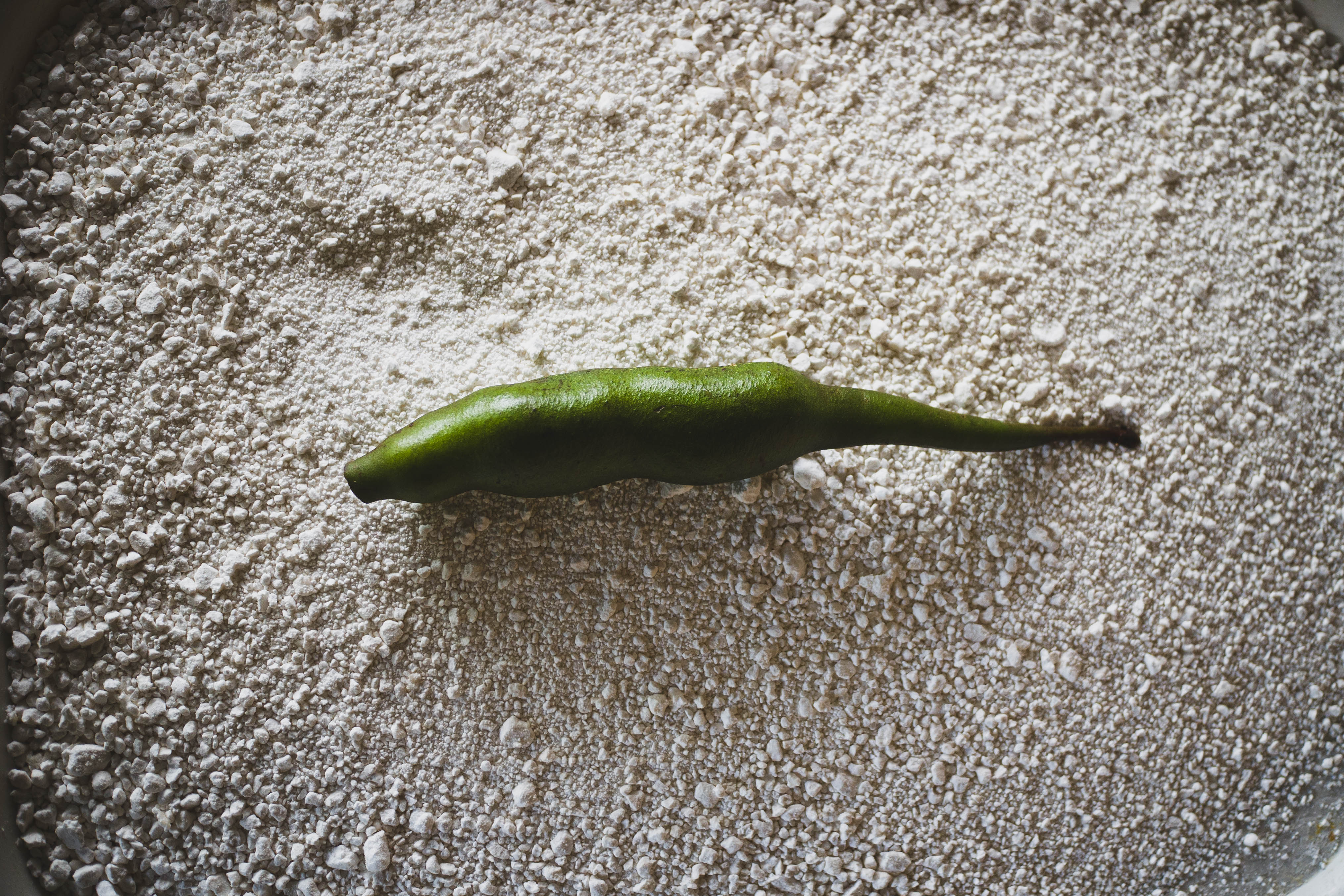 Una vaina verde de balú reposa sobre una superficie de harina de maíz.