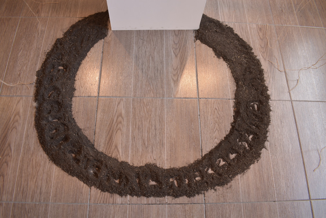 En el umbral del Consciente Cotidiano - Vista 5