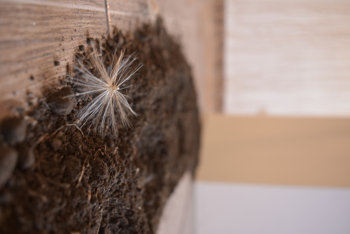 En el umbral del Consciente Cotidiano - Vista 6