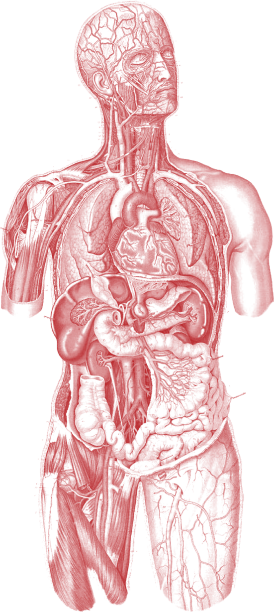 Capítulo 1