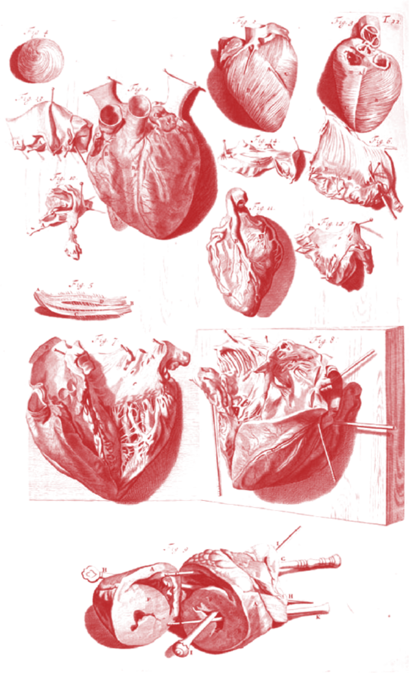 Capítulo 4