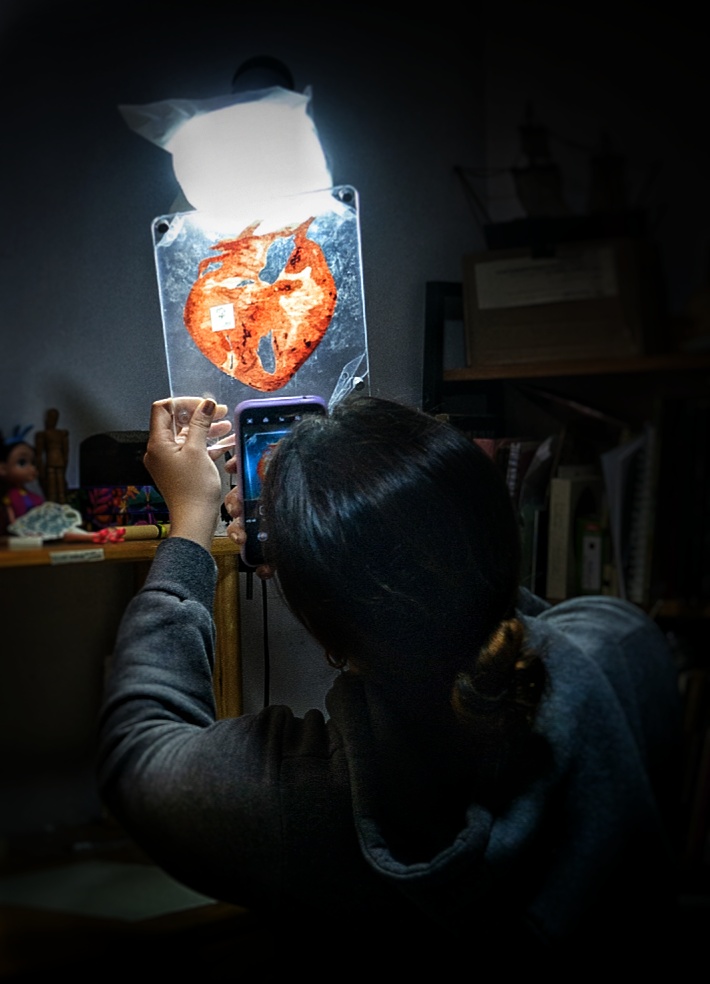 Creación 4