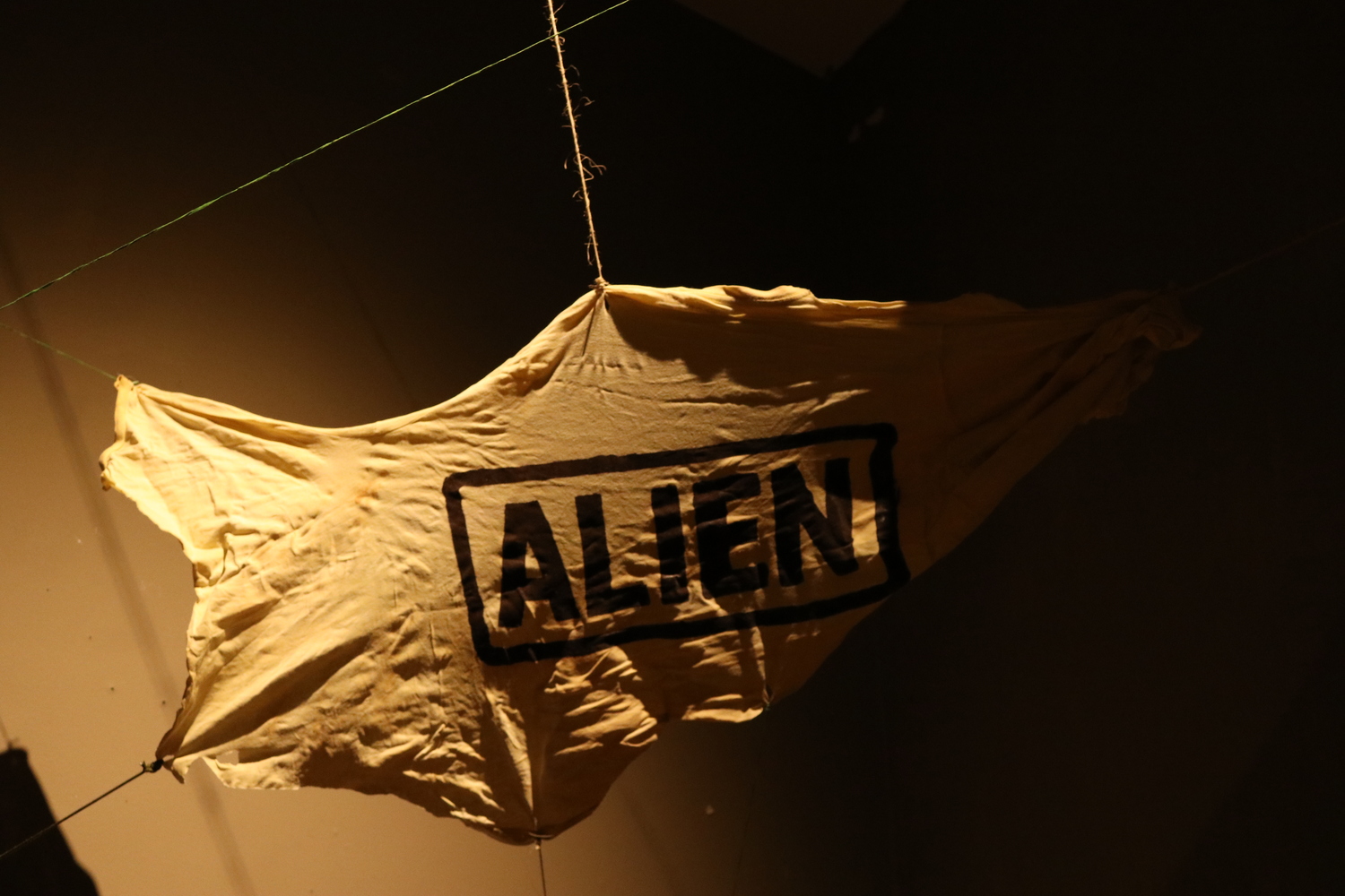 Alíen–Nación - Imagen 15