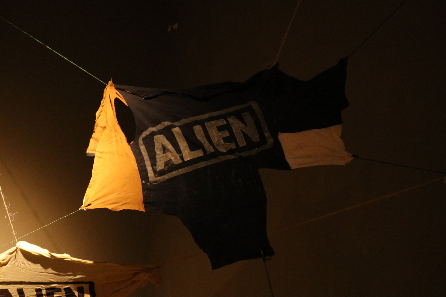 Alíen–Nación - Imagen 16