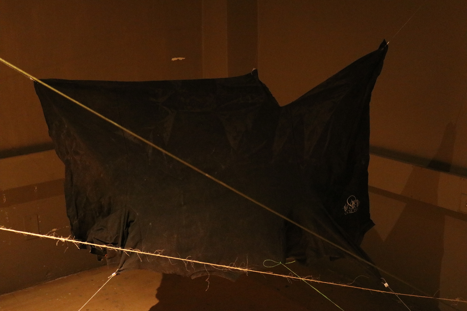 Alíen–Nación - Imagen 19