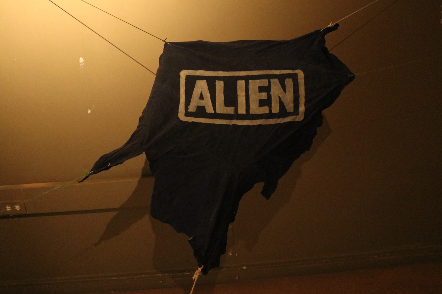 Alíen–Nación - Imagen 20