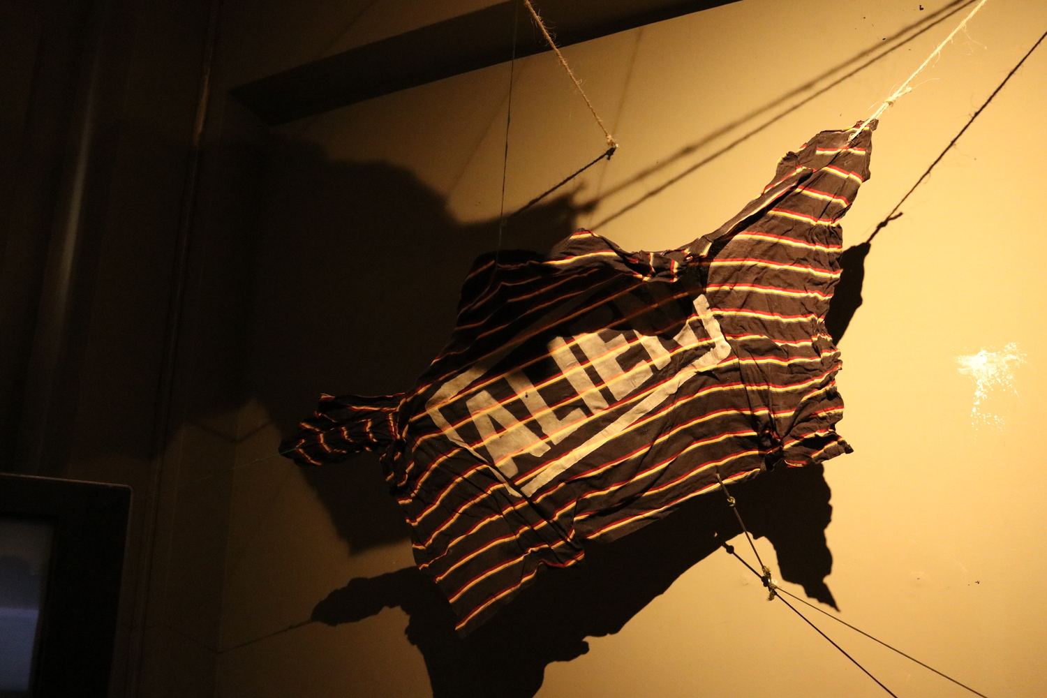 Alíen–Nación - Imagen 21