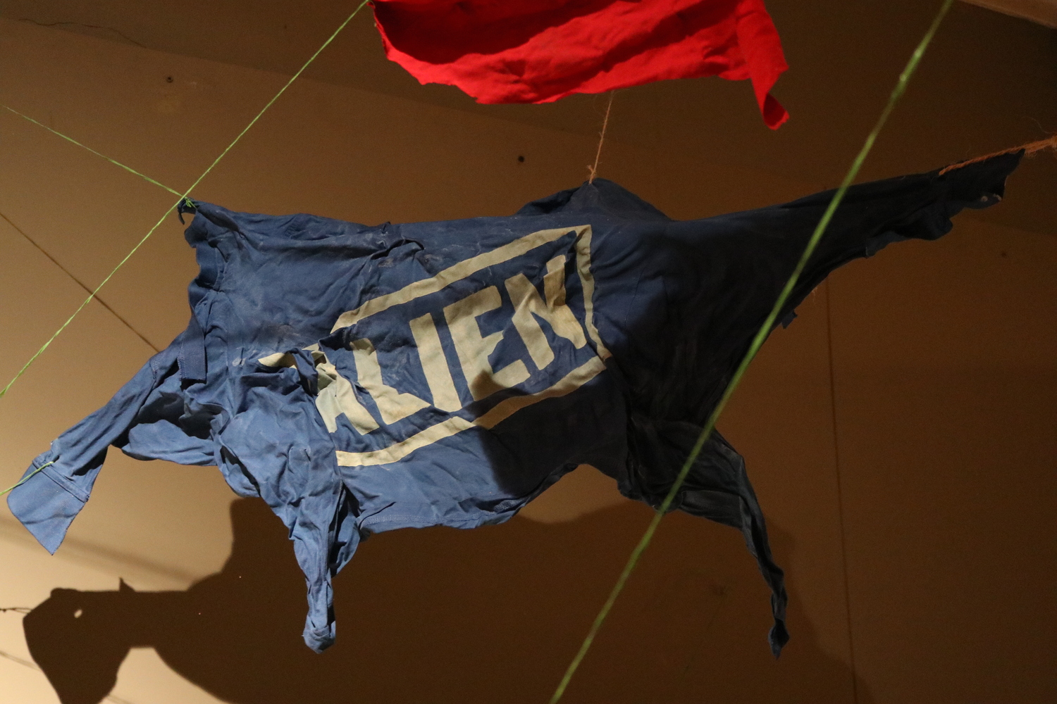 Alíen–Nación - Imagen 25