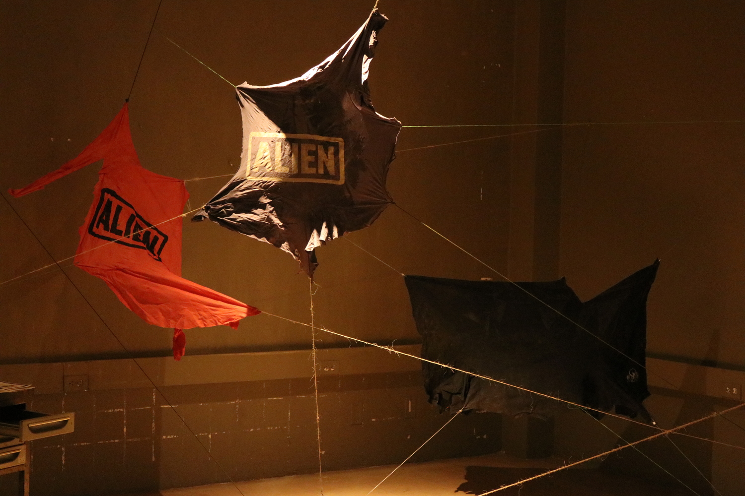 Alíen–Nación - Imagen 30