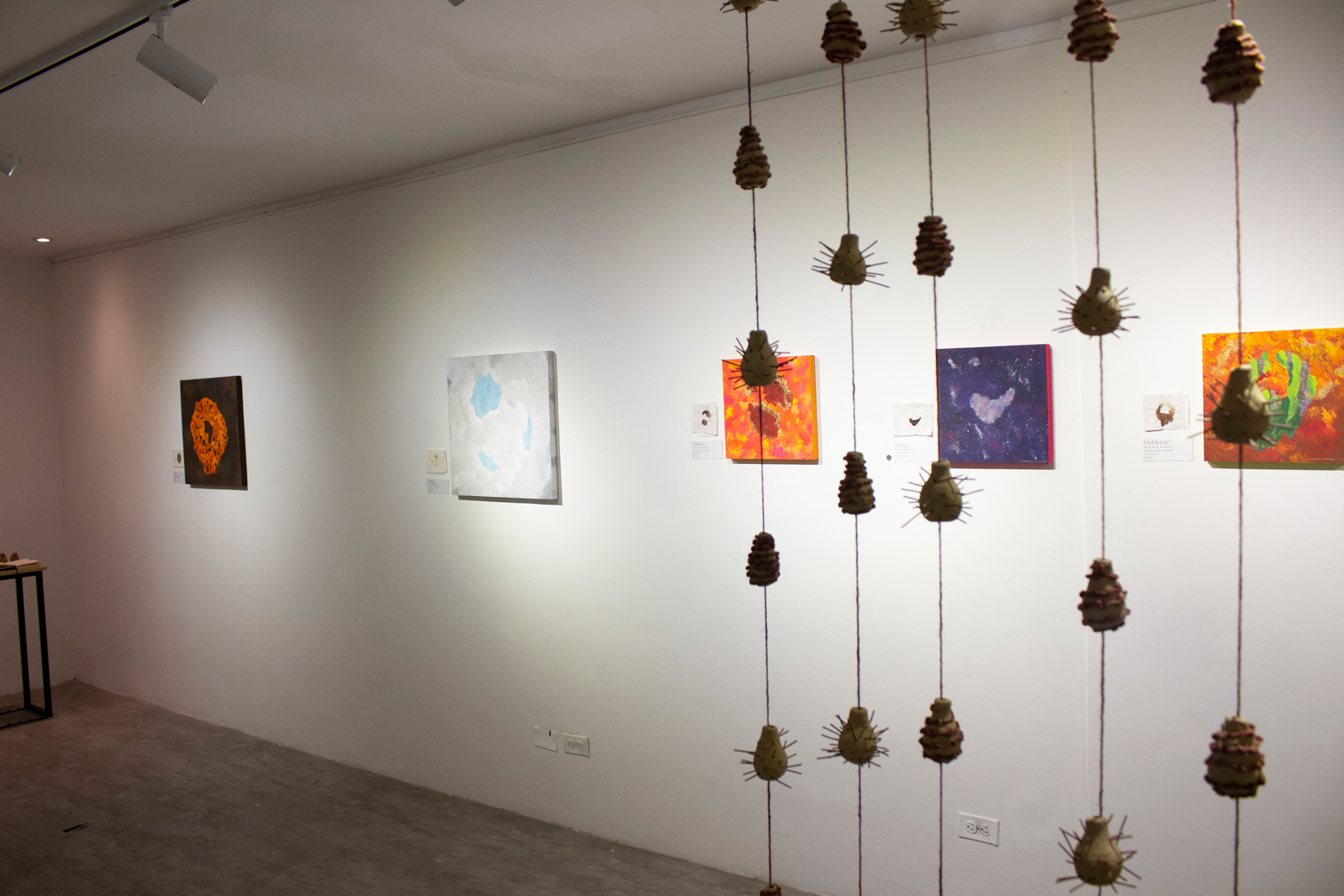 Urdimbre - Imagen 11