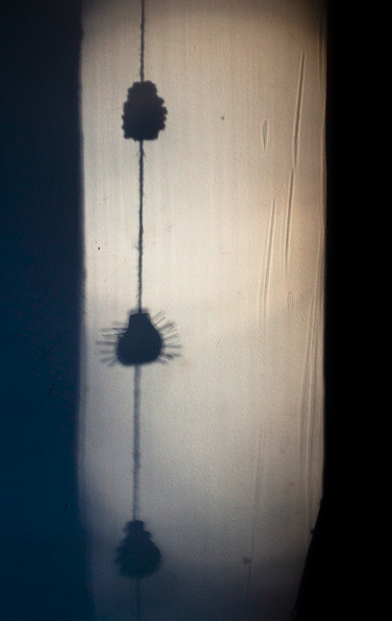 Urdimbre - Imagen 12