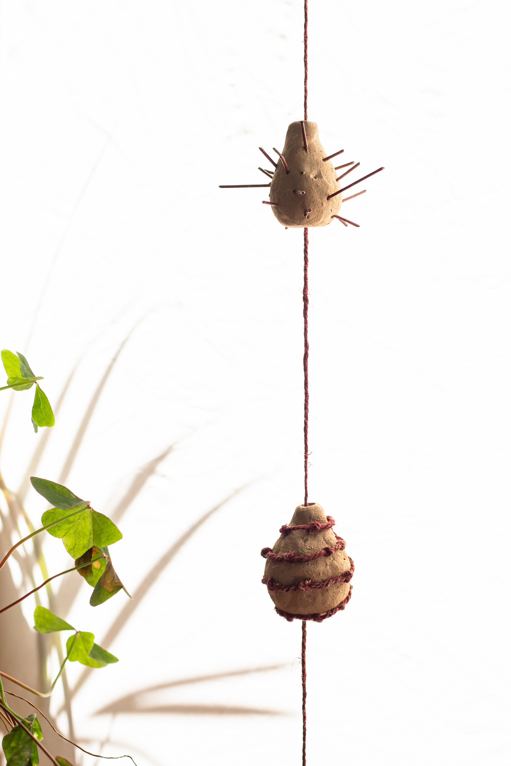 Urdimbre - Imagen 15