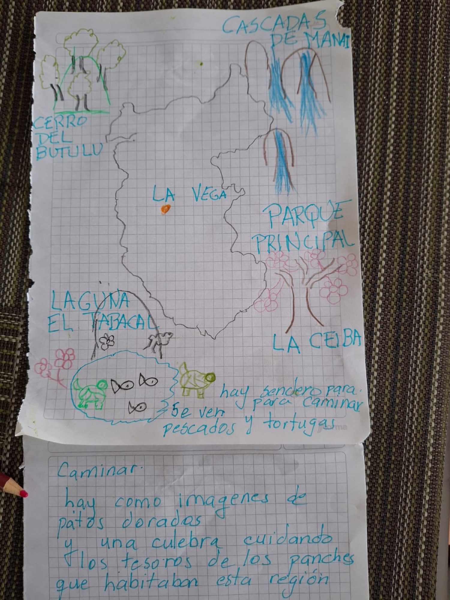 Cartografía cultural · Martha Lucía Fadul