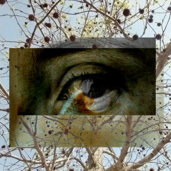 Laura Fernanda Rojas Montero 9