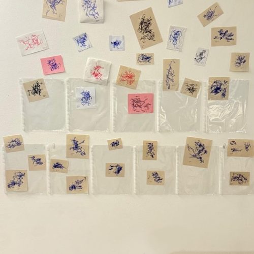 Lina Maria Leon Guerrero Muestra 9