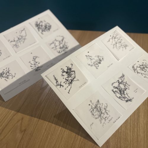 Lina Maria Leon GuerreroMuestra 13