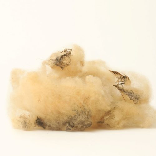 Luis Eduardo Vargas Alba 9