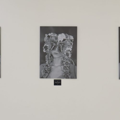 Luisa Mariana González Arévalo 19